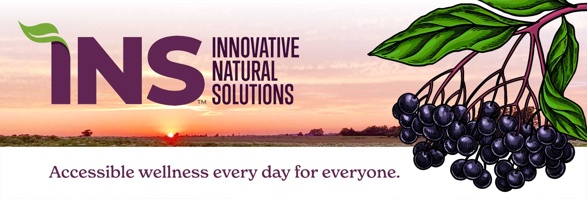 INS-homepage-header2